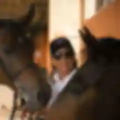 This  learning encounter that brings oneness with the horse was specially designed by EIRS director Silva Storai.